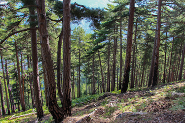 Similar image 13104098