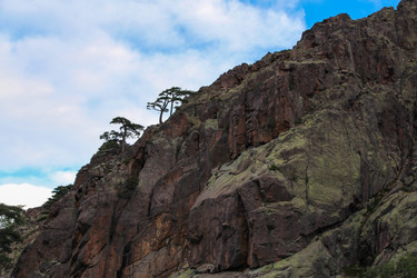 Similar image 13104278