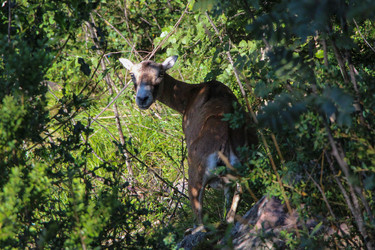 Similar image 13104298