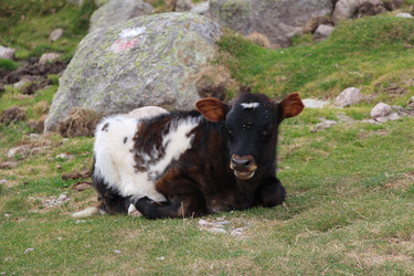 Similar image 13104349