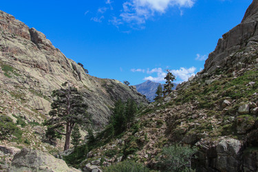 Similar image 13109430