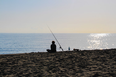 Similar image 13112401