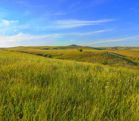 Similar image 13102857