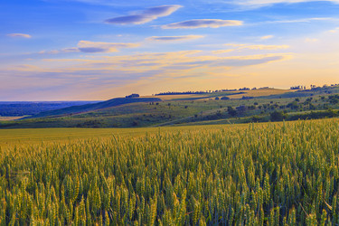 Similar image 13102858