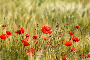 Similar image 13113236