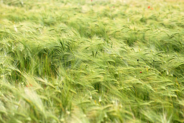 Similar image 13113241