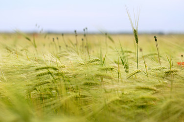 Similar image 13113242