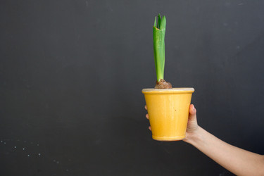 Similar image 13103428