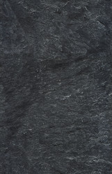 Similar image 13099823