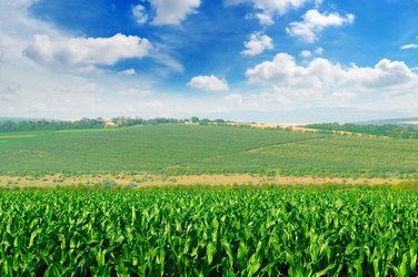 Similar image 13103048