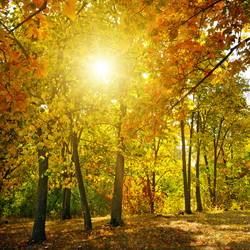 Similar image 13103052