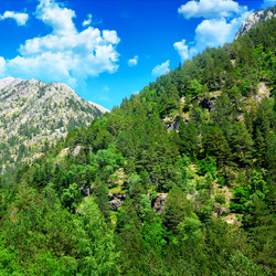 Similar image 13103062