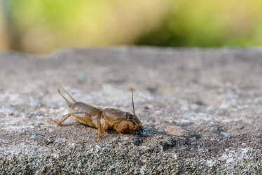 Similar image 13098688