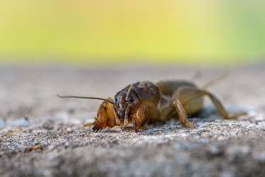 Similar image 13098689