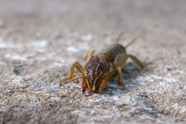 Similar image 13098690