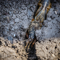 Similar image 13098691