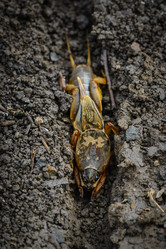 Similar image 13098692