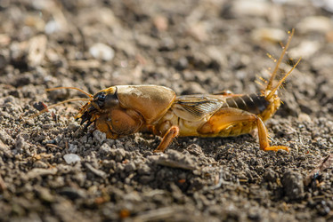 Similar image 13098698