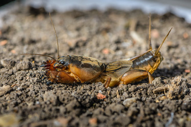 Similar image 13098700