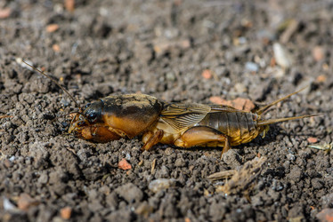 Similar image 13098701