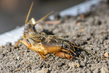 Similar image 13098702