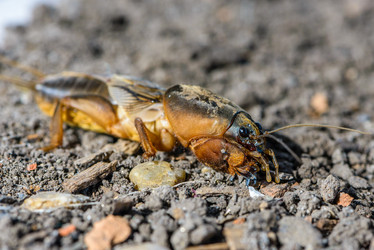 Similar image 13098703