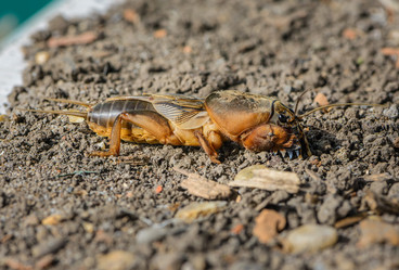 Similar image 13098705