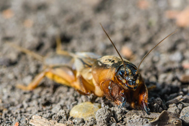 Similar image 13098707