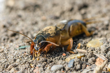 Similar image 13098708