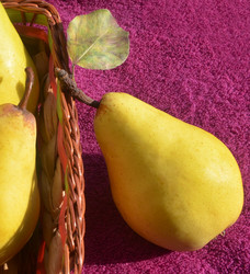 Similar image 13102859