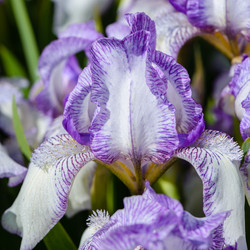 Similar image 13102899