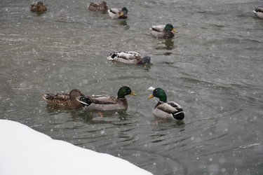 Similar image 13112355