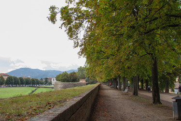 Similar image 13112358