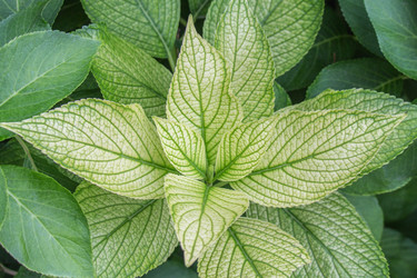 Similar image 13112405