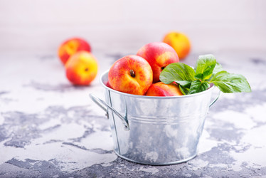 Similar image 13106330