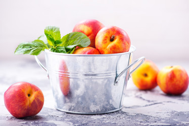 Similar image 13106334