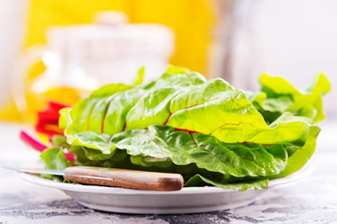 Similar image 13106653