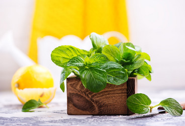 Similar image 13106657