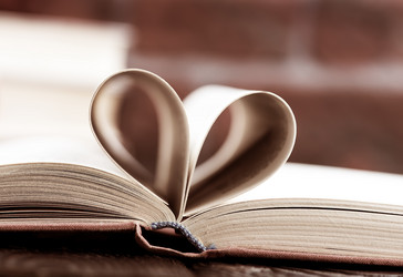 Similar image 13106256