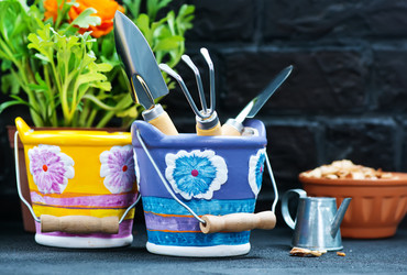 Similar image 13106408