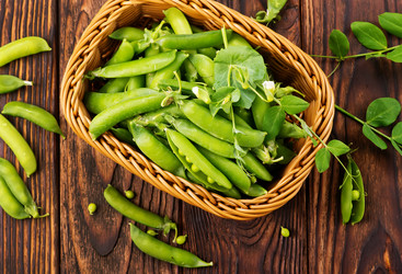 Similar image 13106494