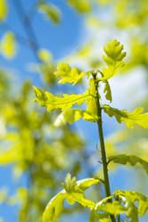 Similar image 13103131