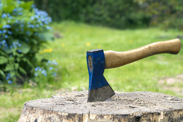 Similar image 13103133