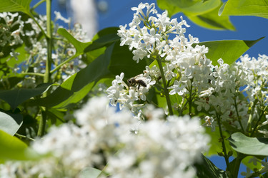 Similar image 13103134