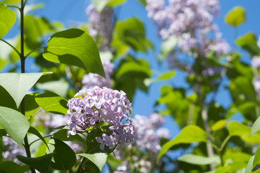 Similar image 13103135