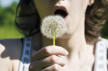 Similar image 13103156