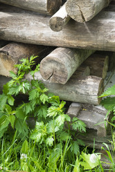 Similar image 13103157