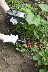 Similar image 13107238