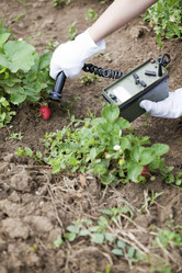 Similar image 13107255