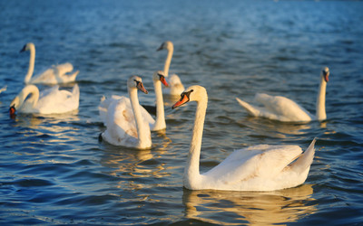 Similar image 13113362